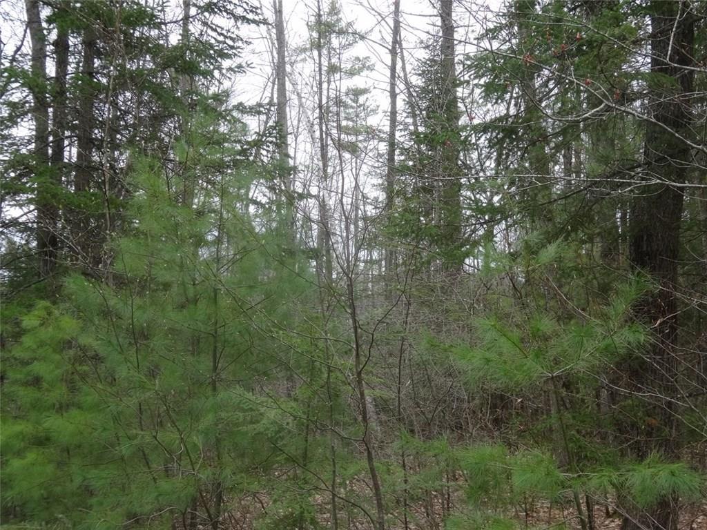 0 Dickvale Road Peru, ME 04290 - Photo 6 of 13 Photo