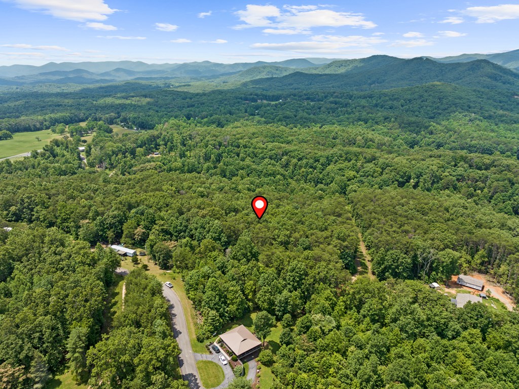 0 Crawford Road McCaysville, GA 30555 - Photo 11 of 21