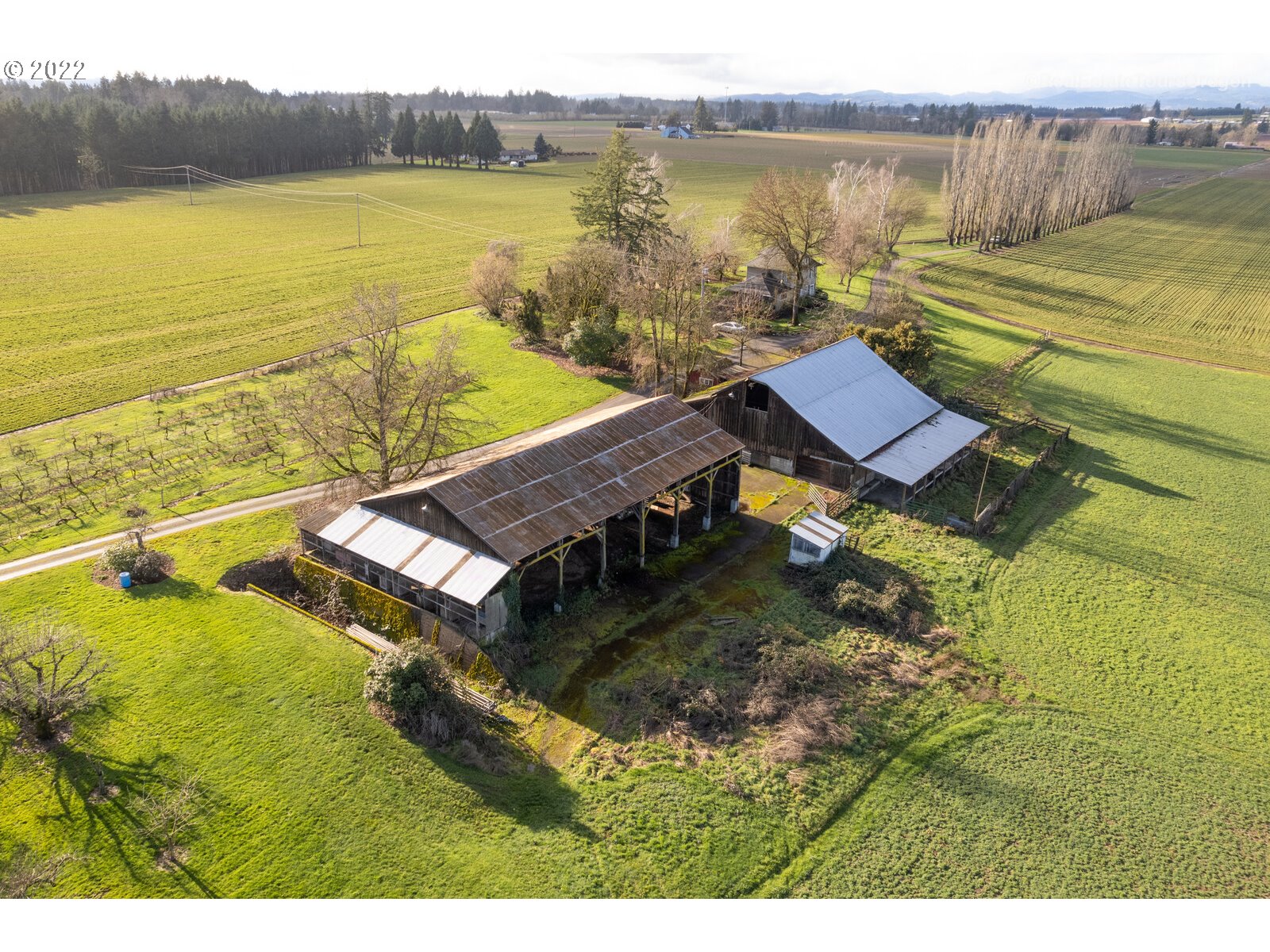 19289 Southeast Neck Road Dayton, OR 97114 - Photo 11 of 17 Gallery Image 11