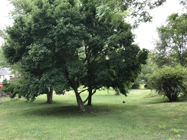 $19,000 | North Lincoln, Riverton, IL 62561