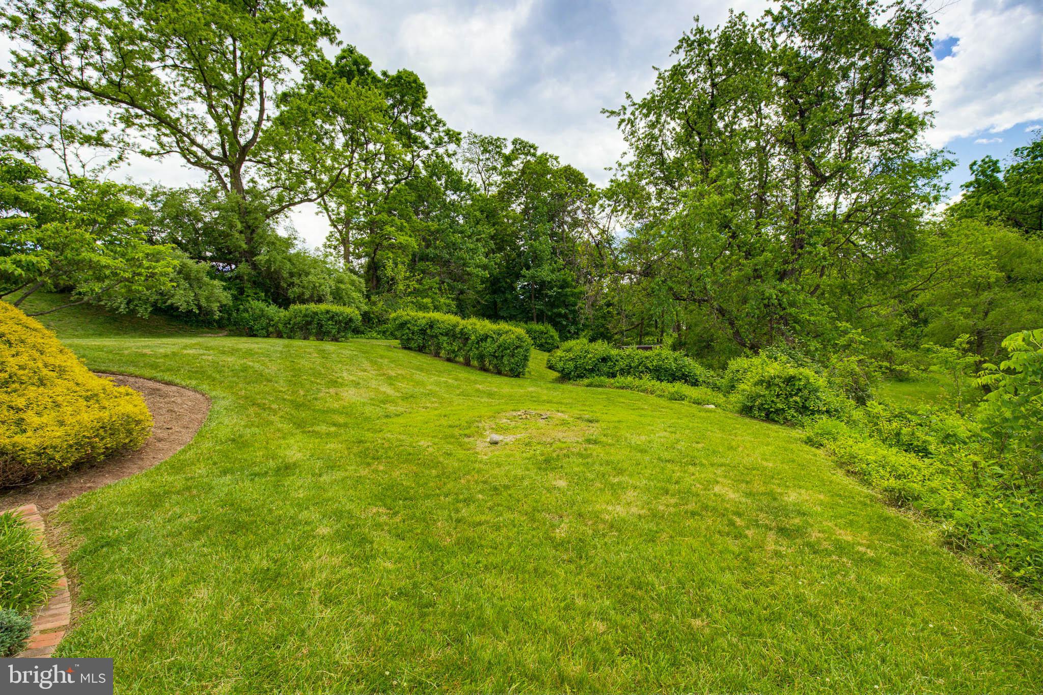 1110 Lombard Road Red Lion, PA 17356 - Photo 7 of 38 Back yard