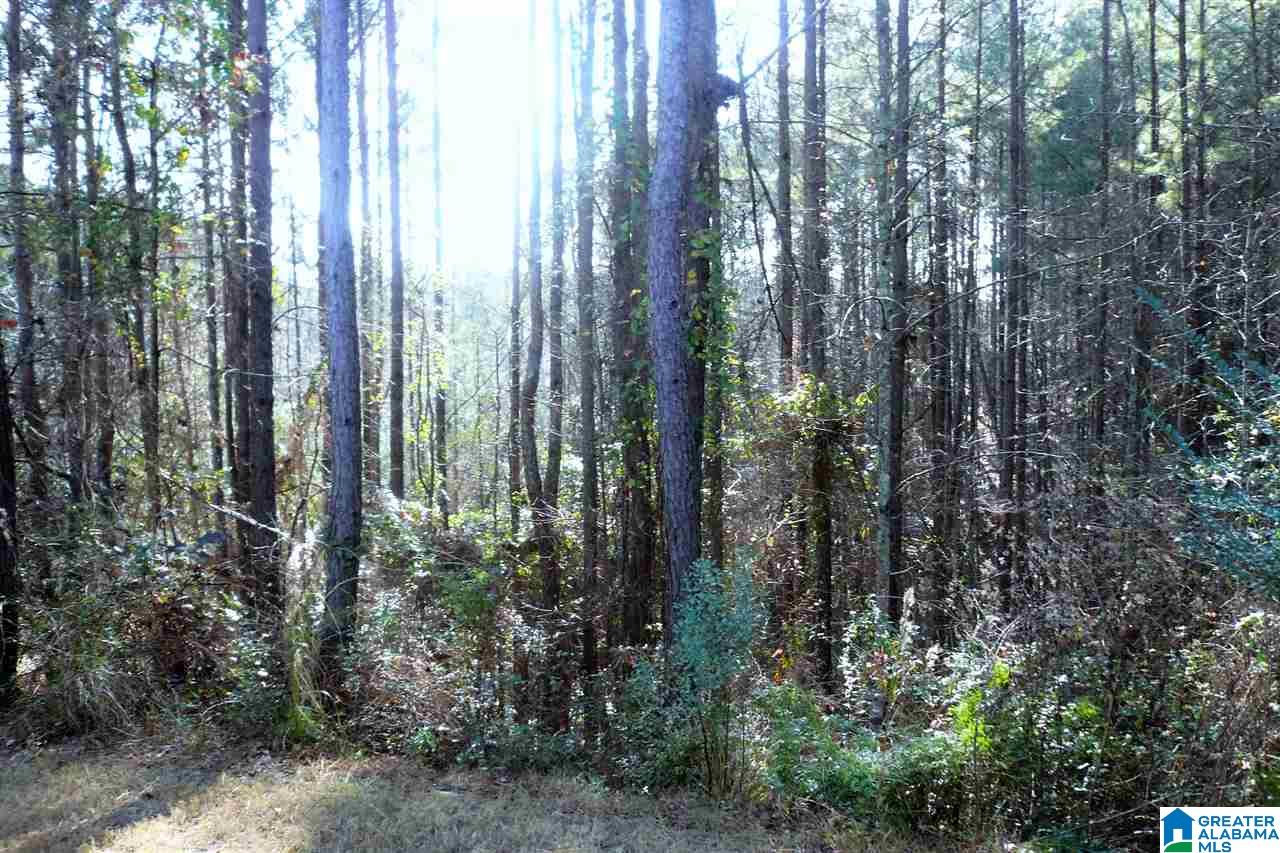 1201 Stoneykirk Road Pelham, AL 35124 - Photo 30 of 50