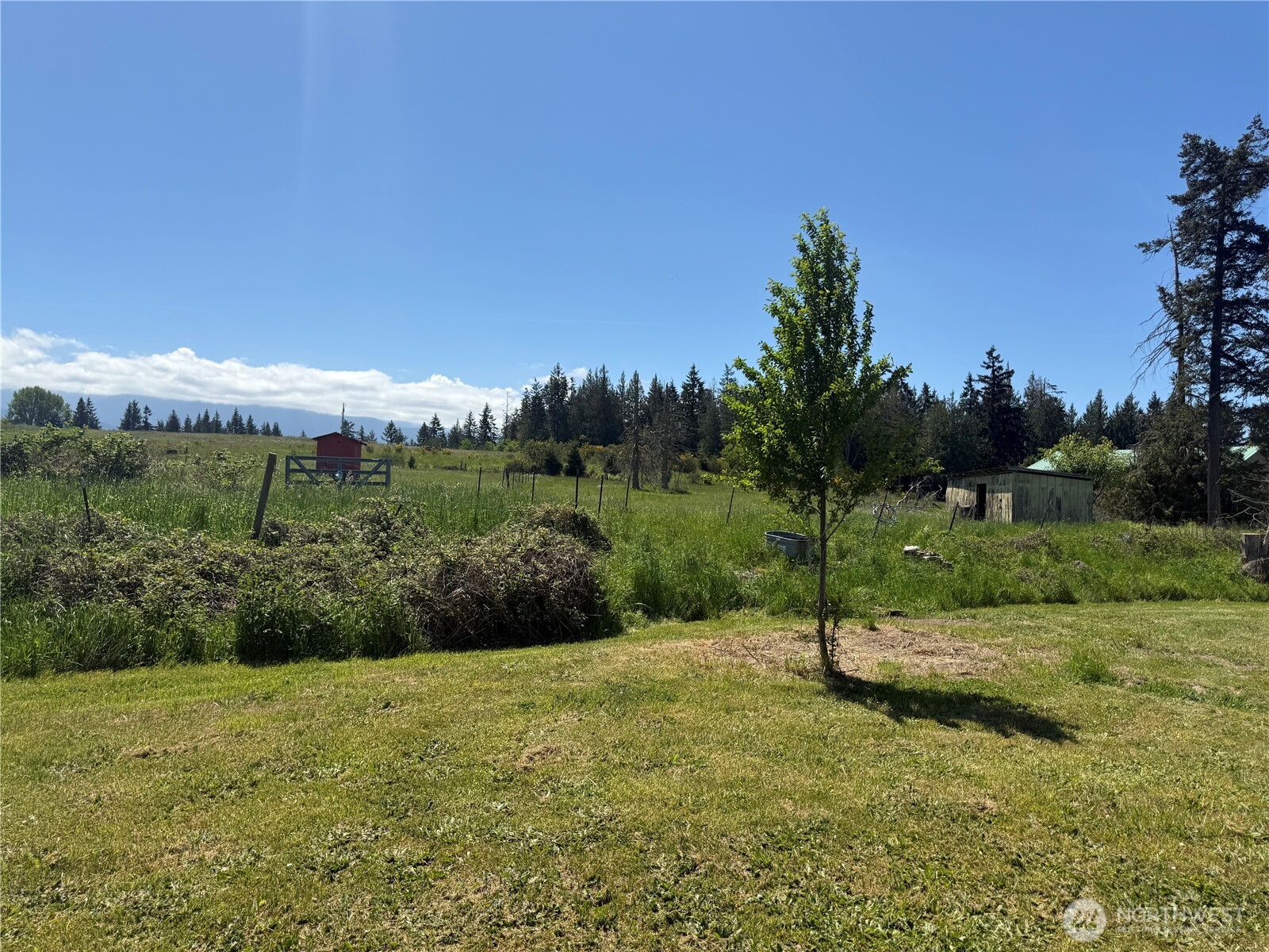46 Cliff Robinson Lane Sequim, WA 98382 - Photo 35 of 39