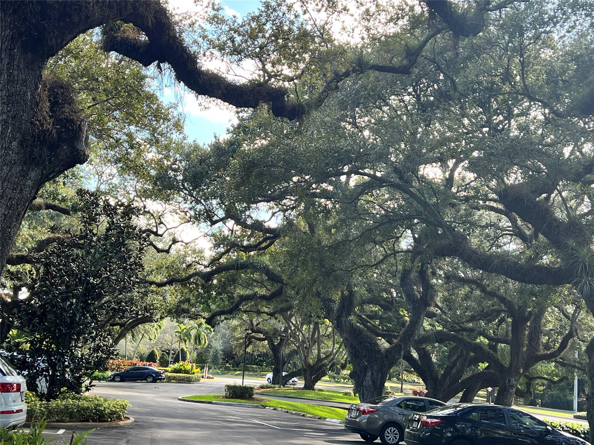 9101 Southwest 19th Place, Unit B Davie, FL 33324 - Photo 53 of 55 a view of a tree in front of a building