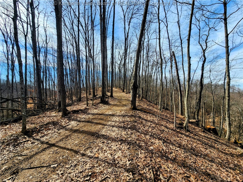 0 Indian Creek Road Elkview, WV 25071 - Photo 7 of 18 Gallery Image 7