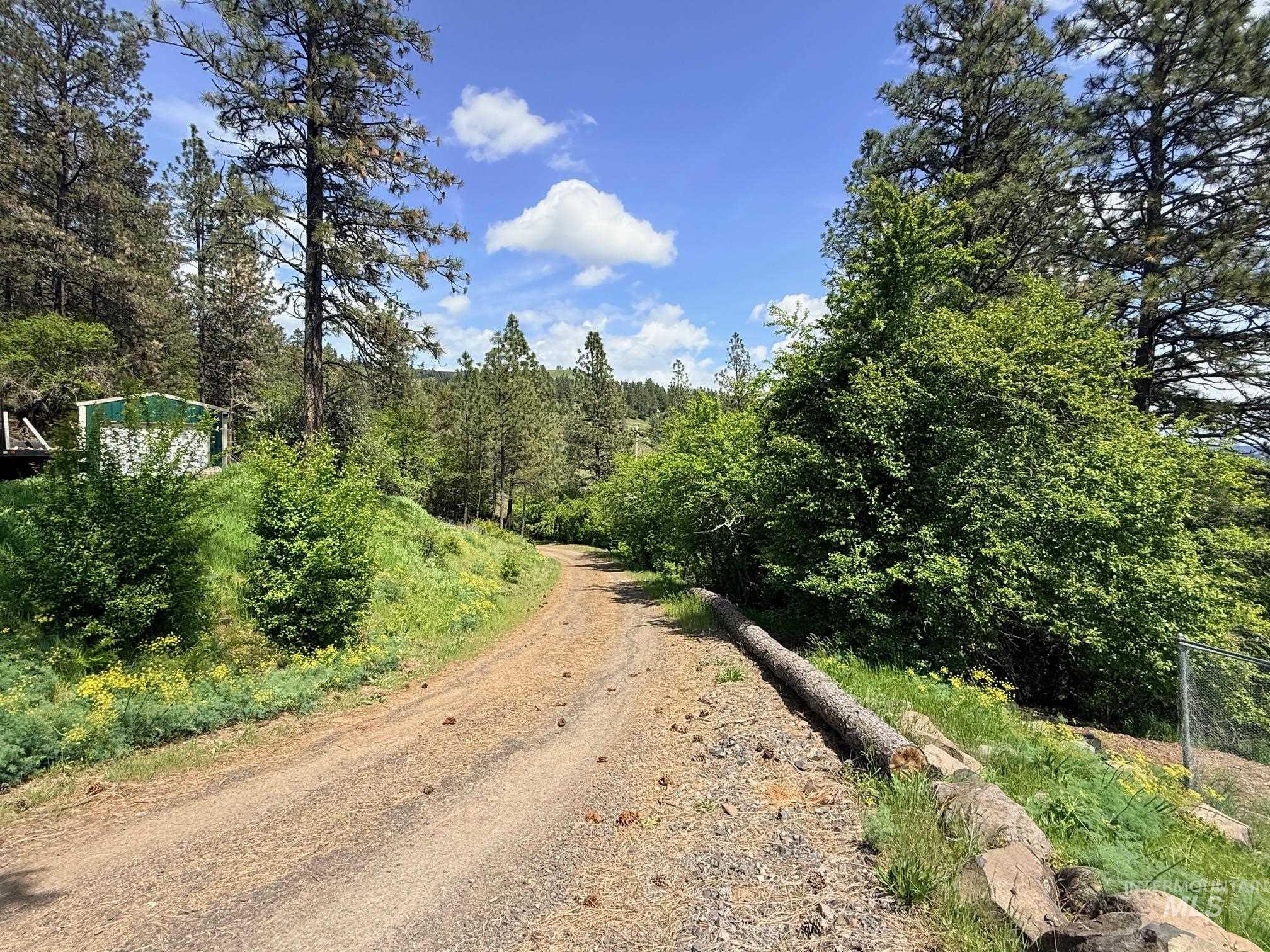 620 Old Peck Grade Lenore, ID 83541 - Photo 26 of 45