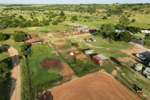 a view of a trees in a yard