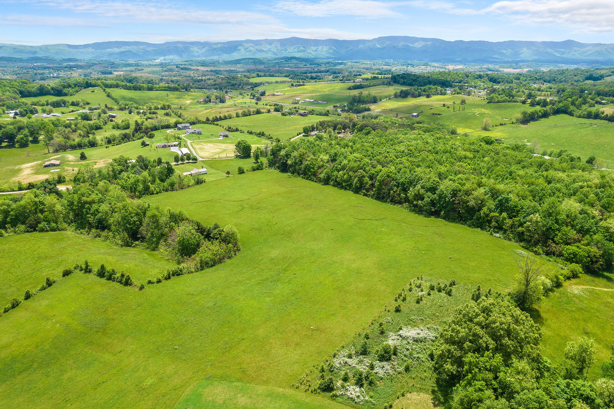 4-web-or-mls-Old Stage 4