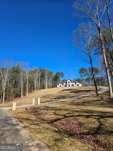 a view of road with large trees