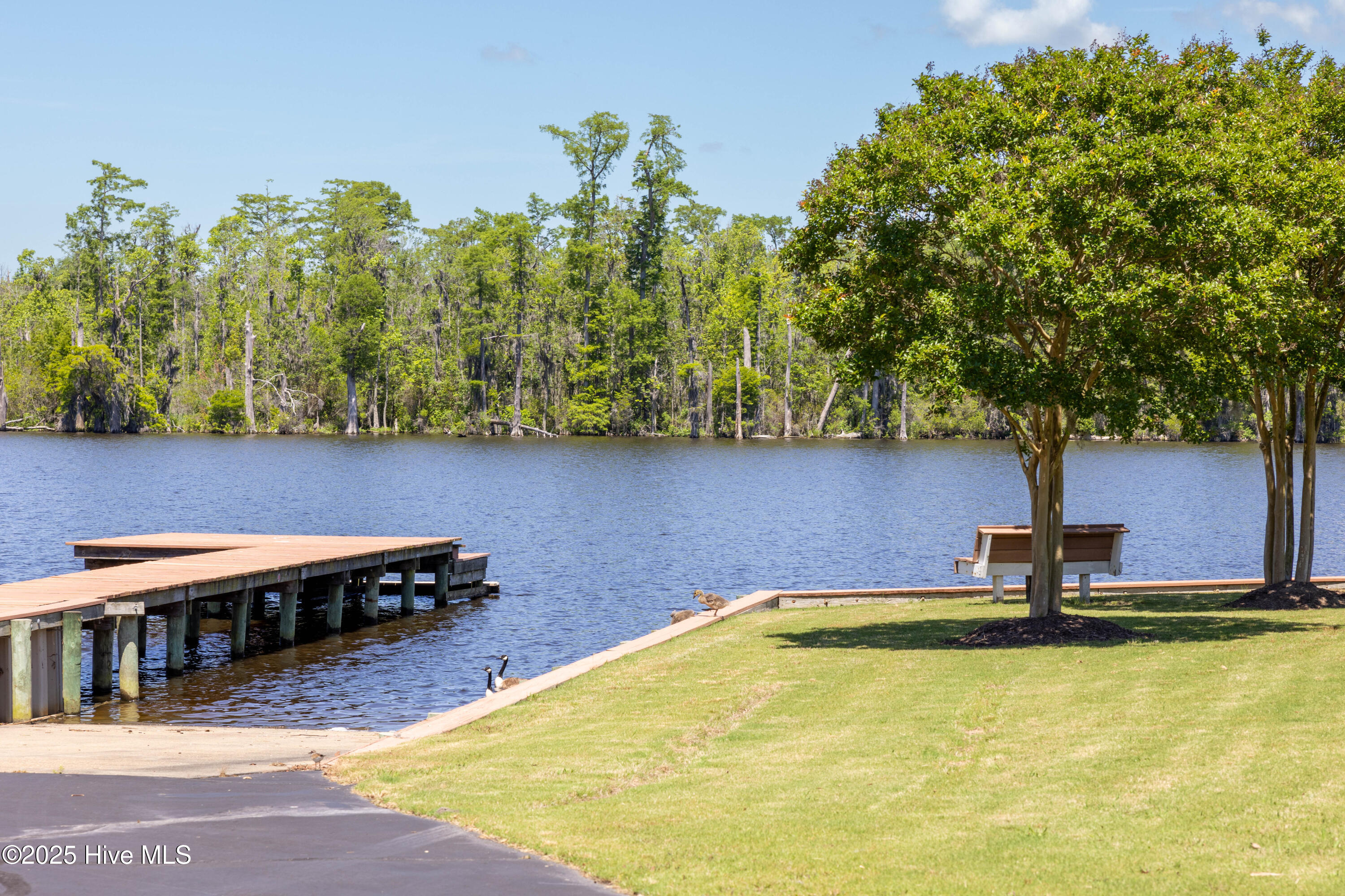 175 Colleton Circle Edenton, NC 27932 - Photo 8 of 11 Boat Ramp