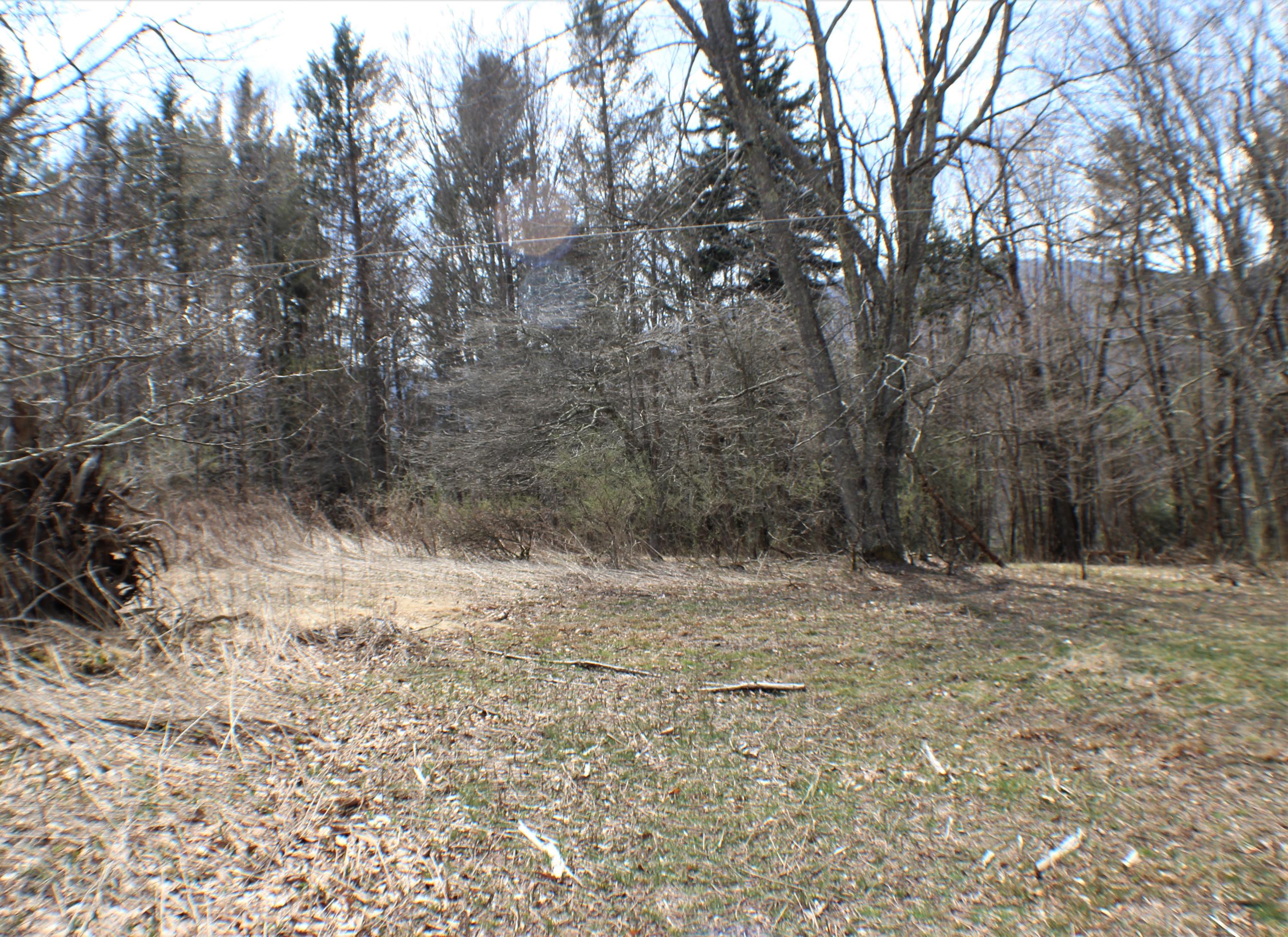 17-3 County Route Marlinton, WV 24954 - Photo 2 of 7 Gallery Image 2
