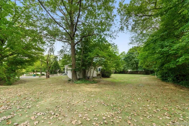 a view of a yard with a tree