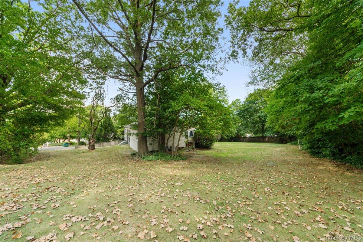 101 Cresthill Road Yonkers, NY 10710 - Photo 26 of 31 a view of a yard with a tree