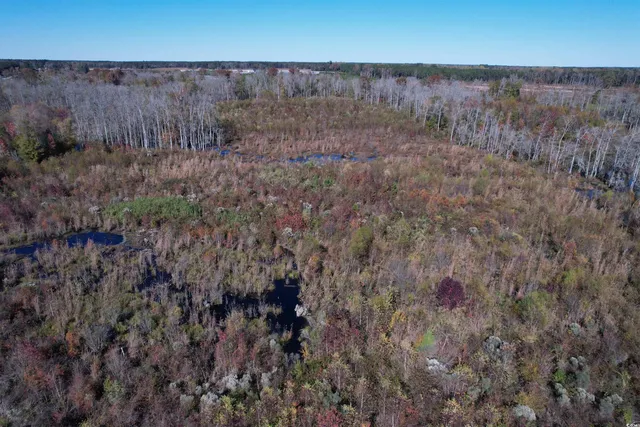$272,000 | 64-acres-tbd 64-acres-tbd Vox Hwy Lake, Johnsonville, SC 29555