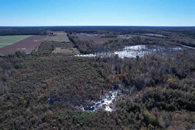 $272,000 | 64-acres-tbd 64-acres-tbd Vox Hwy Lake, Johnsonville, SC 29555