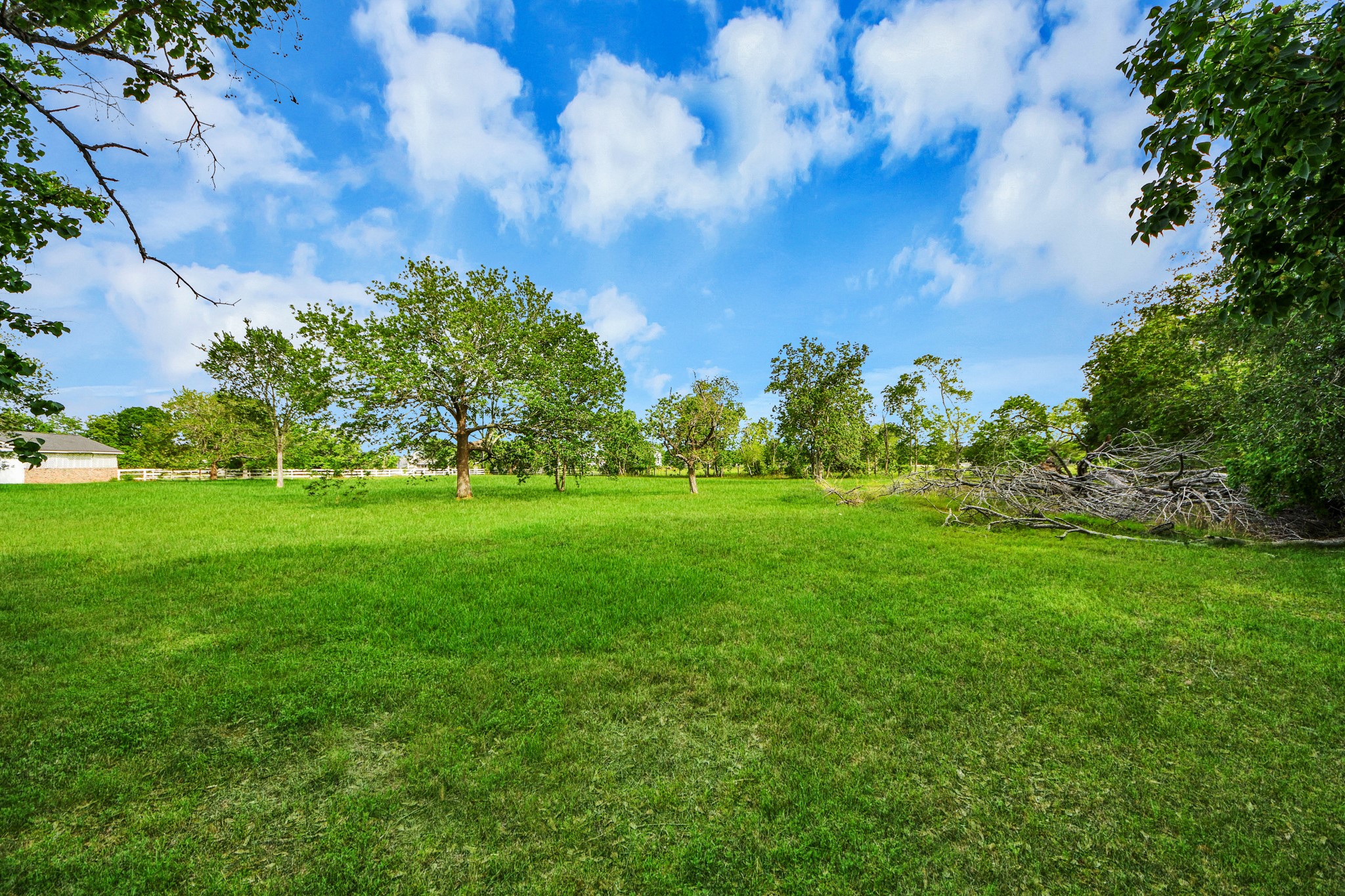 12746 Roy Road Pearland, TX 77581 - Photo 34 of 47 Spacious, lush green lot with scattered mature trees, perfect for building your dream home. Offers a serene, natural setting with a clear blue sky above.