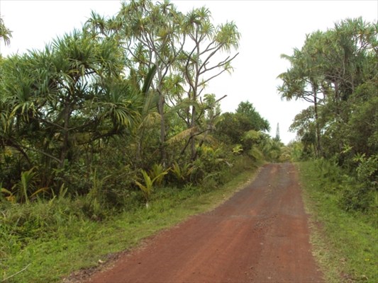 9 Pakaka Road Pahoa, HI 96778 - Photo 1 of 4
