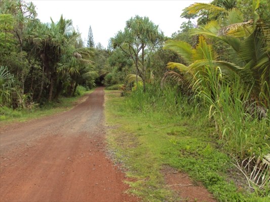9 Pakaka Road Pahoa, HI 96778 - Photo 3 of 4