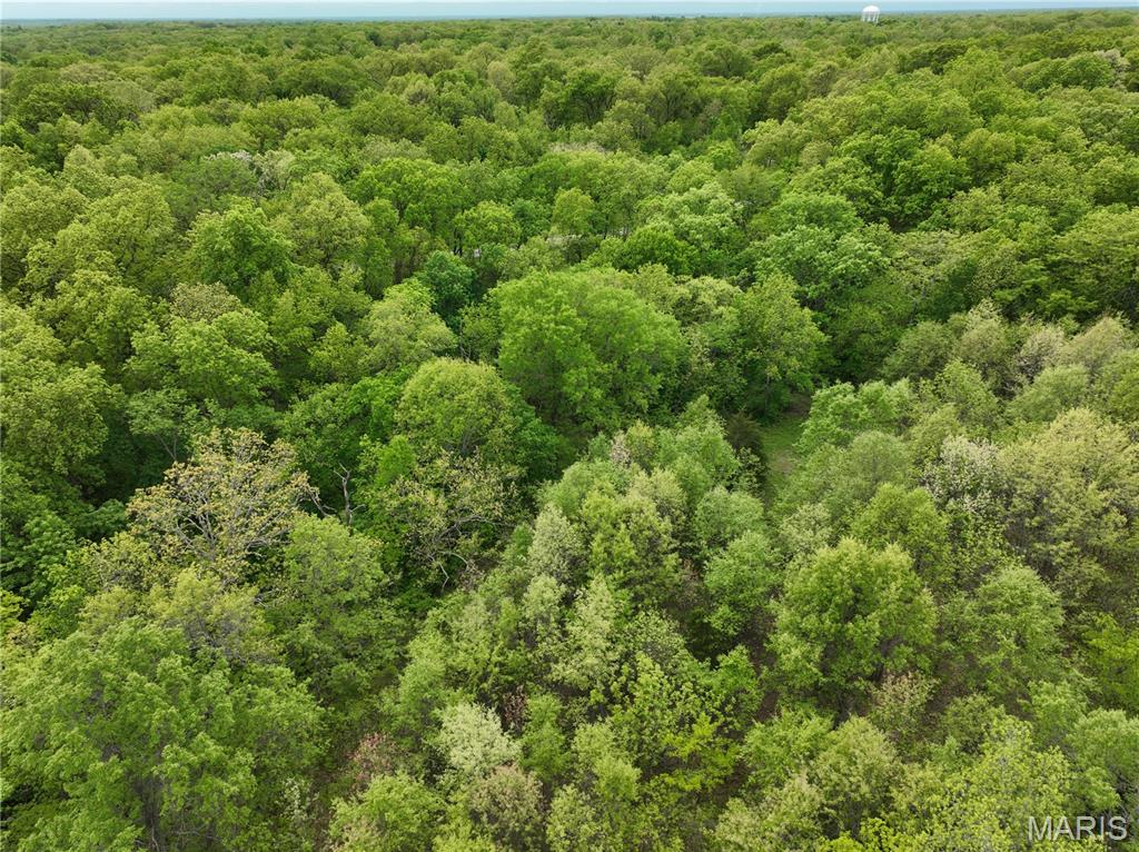 110 Spring House Lane Troy, MO 63379 - Photo 13 of 14
