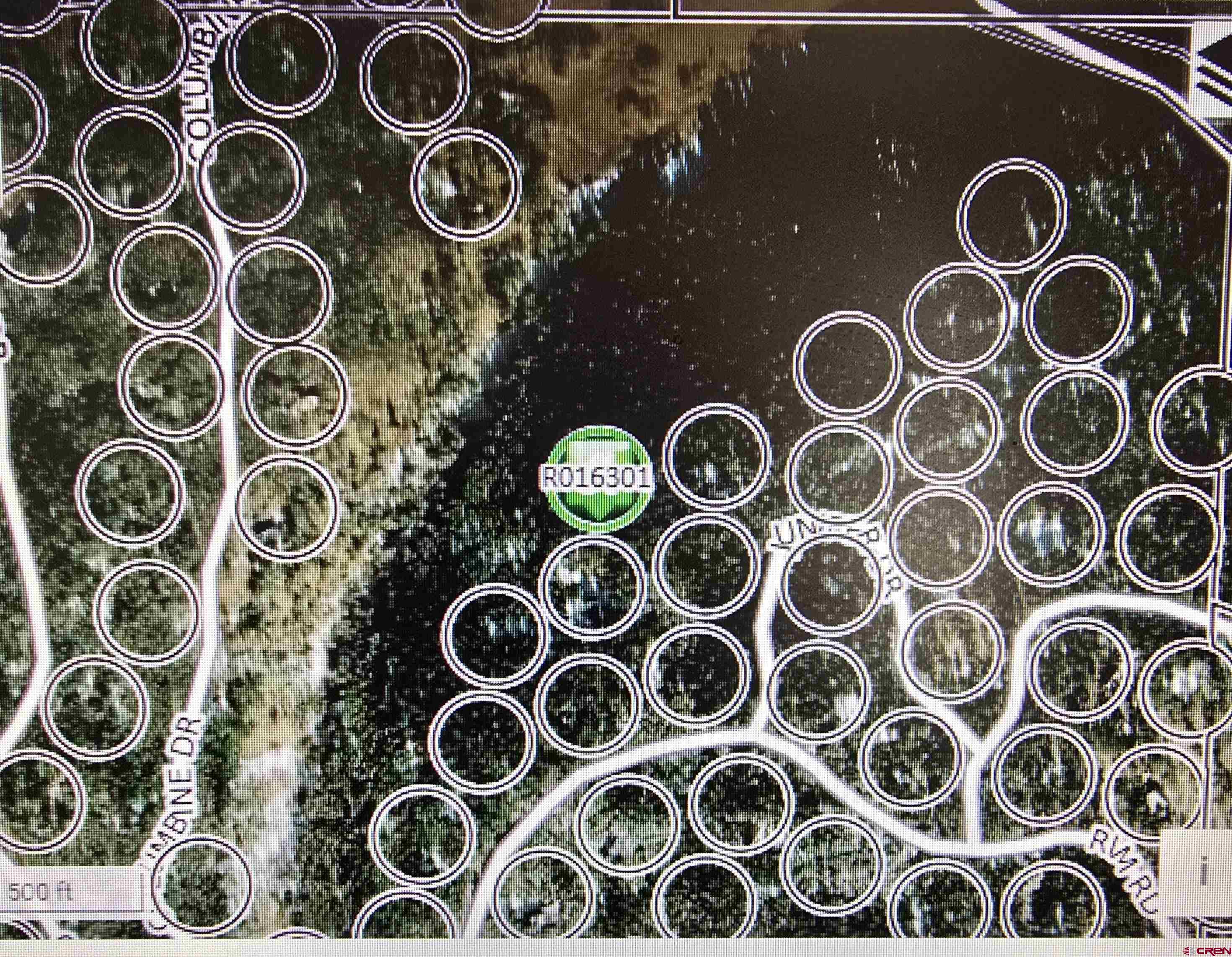 425 Rim Road Cimarron, CO 81220 - Photo 3 of 7