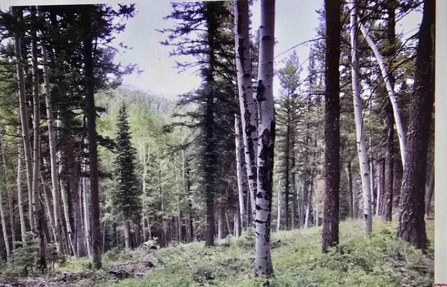 $78,000 | 425 Rim Road, Cimarron, CO 81220