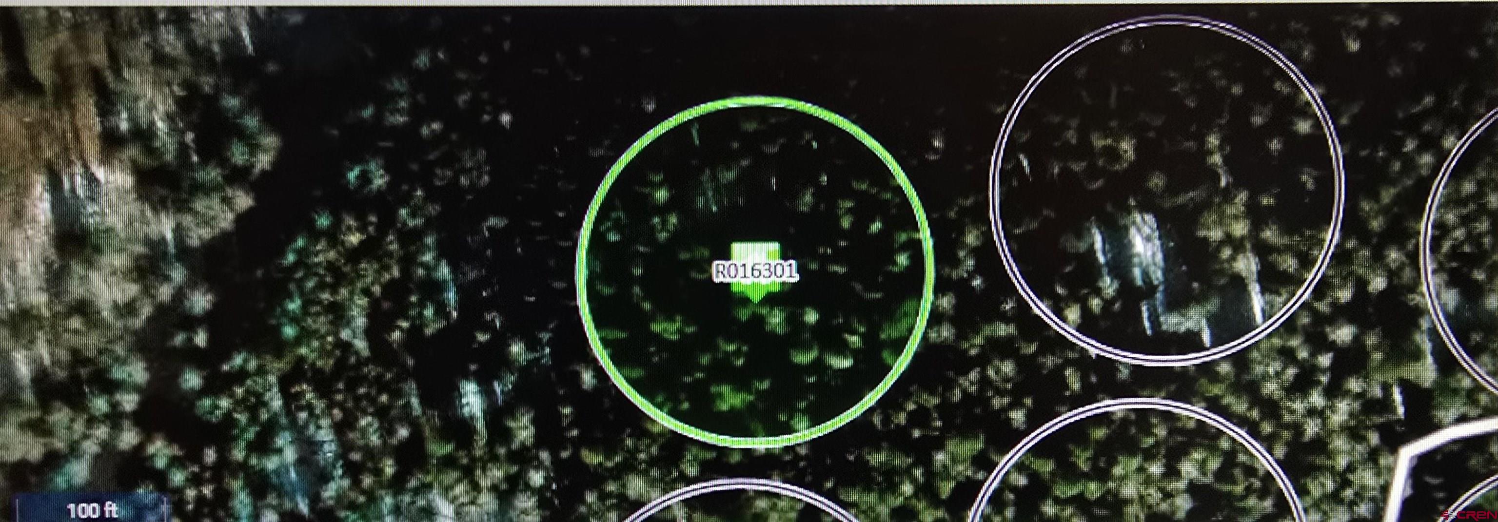 425 Rim Road Cimarron, CO 81220 - Photo 7 of 7