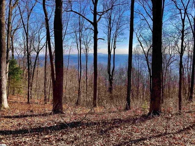 $300,000 | 1000 Mountain Summit Road, Travelers Rest, SC 29690