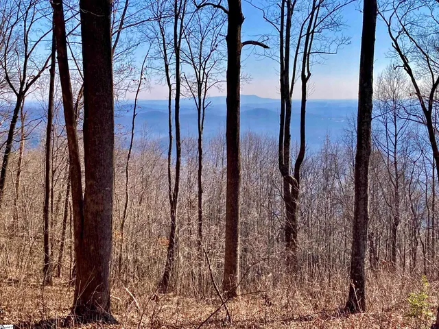 $300,000 | 1000 Mountain Summit Road, Travelers Rest, SC 29690