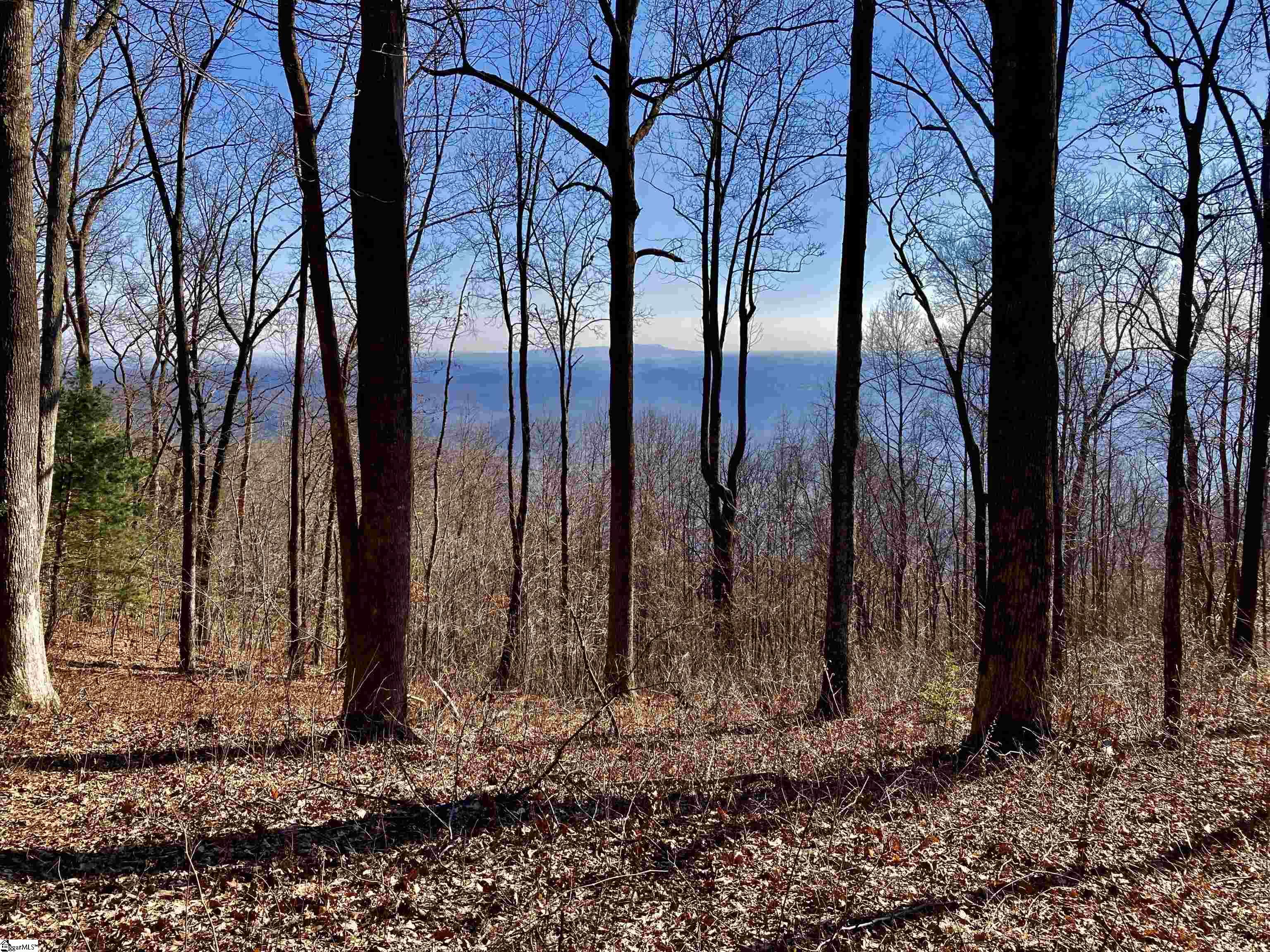 1000 Mountain Summit Road Travelers Rest, SC 29690 - Photo 4 of 9