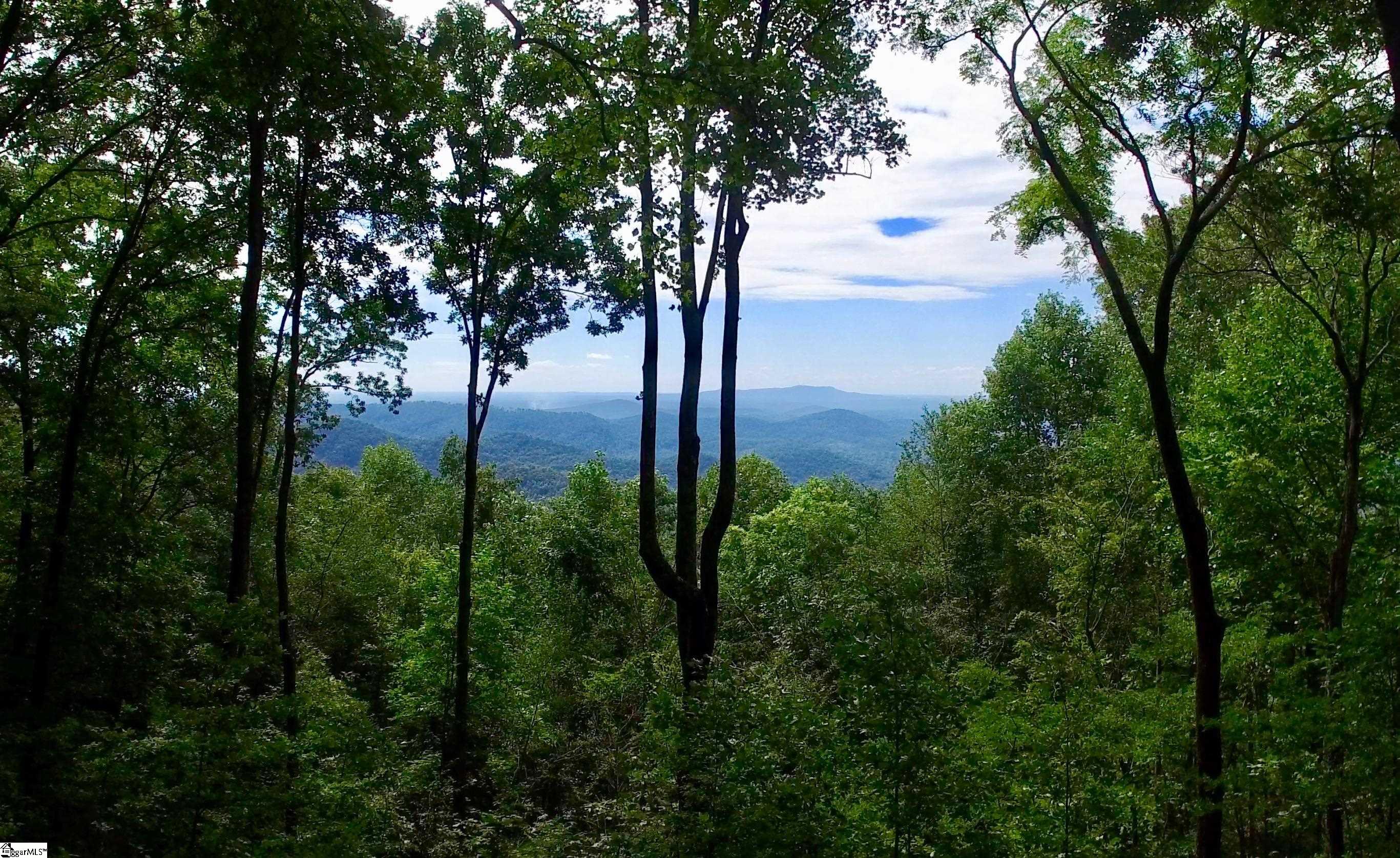 1000 Mountain Summit Road Travelers Rest, SC 29690 - Photo 4 of 9 Gallery Image 4