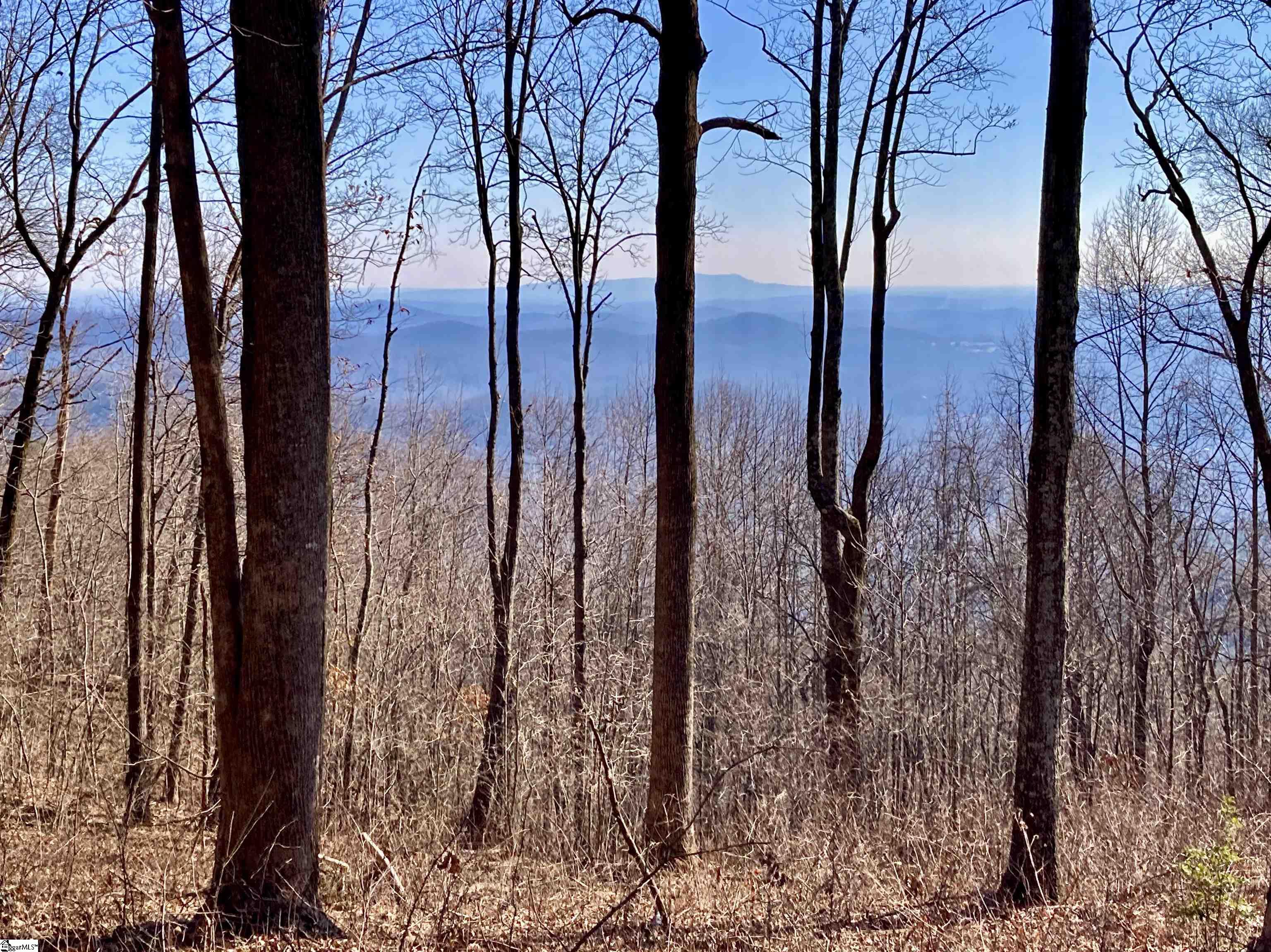 1000 Mountain Summit Road Travelers Rest, SC 29690 - Photo 6 of 9
