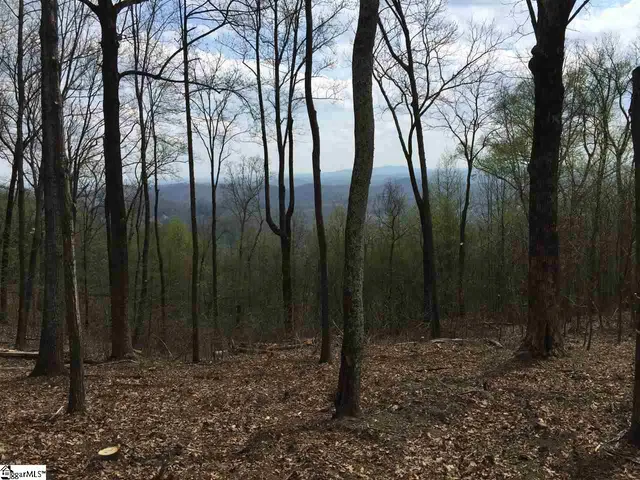 $300,000 | 1000 Mountain Summit Road, Travelers Rest, SC 29690