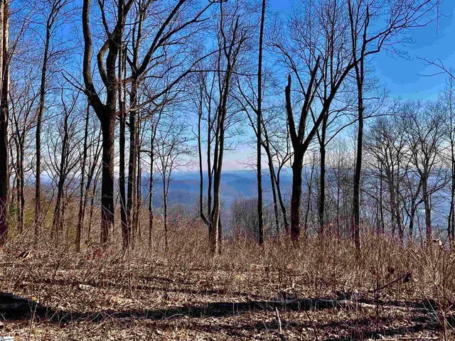 $300,000 | 1000 Mountain Summit Road, Travelers Rest, SC 29690