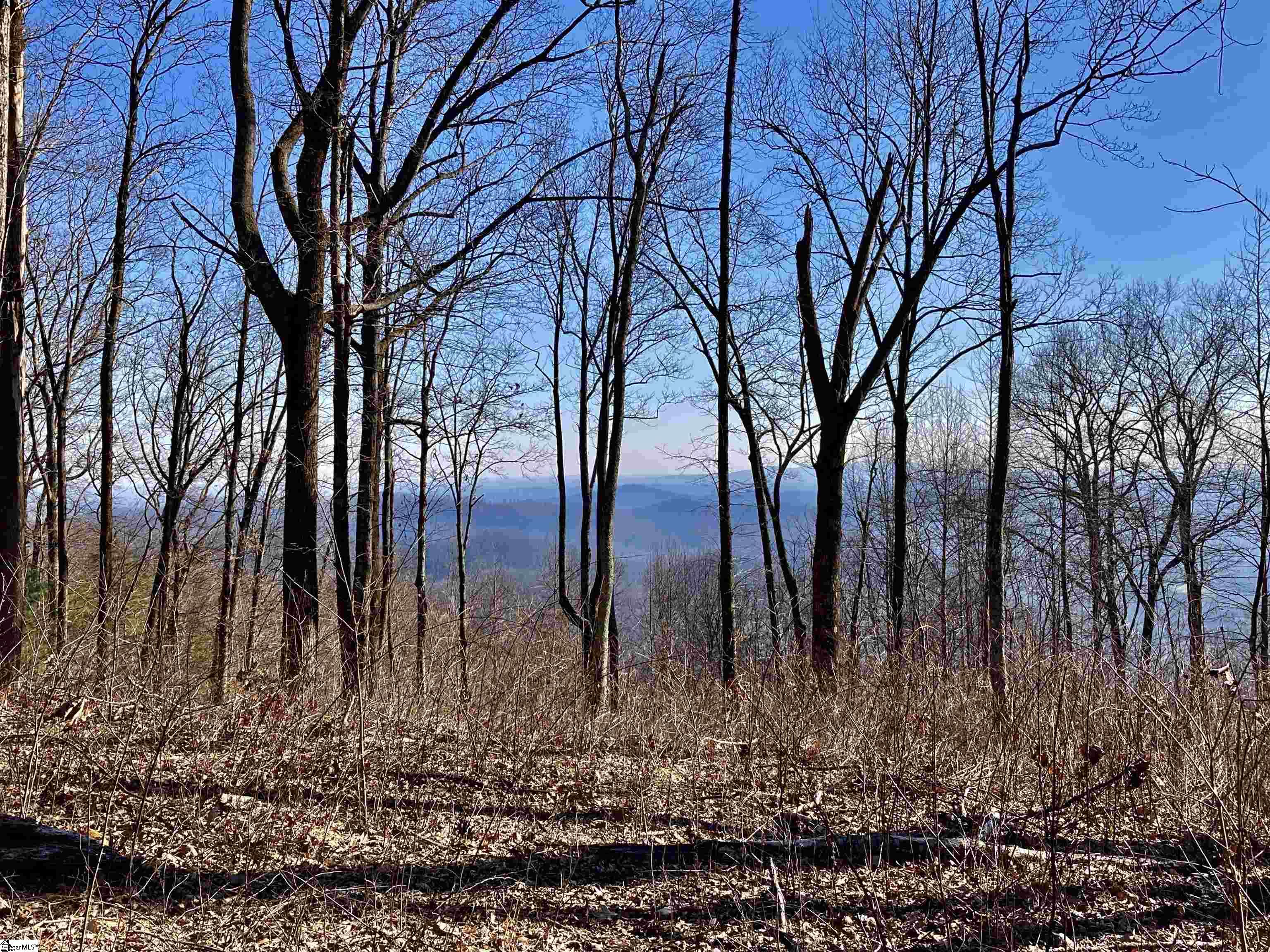 1000 Mountain Summit Road Travelers Rest, SC 29690 - Photo 9 of 9