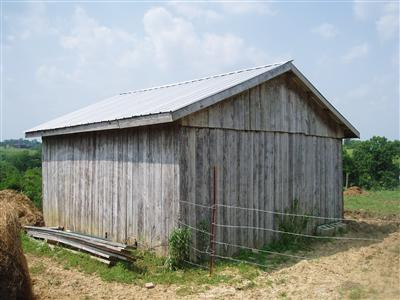 Gallery Image 7