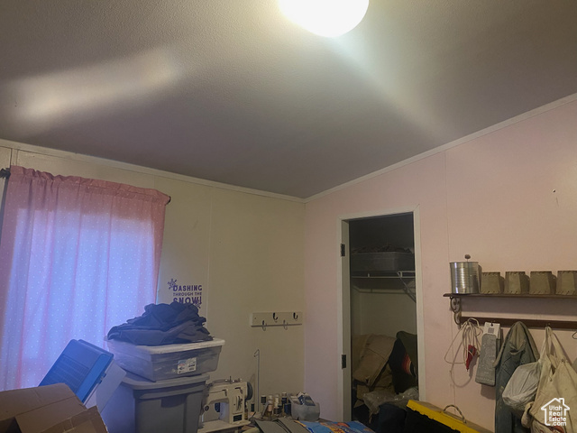 4963 20810 West Duchesne, UT 84021 - Photo 6 of 28 Bedroom featuring a walk in closet, crown molding, and lofted ceiling