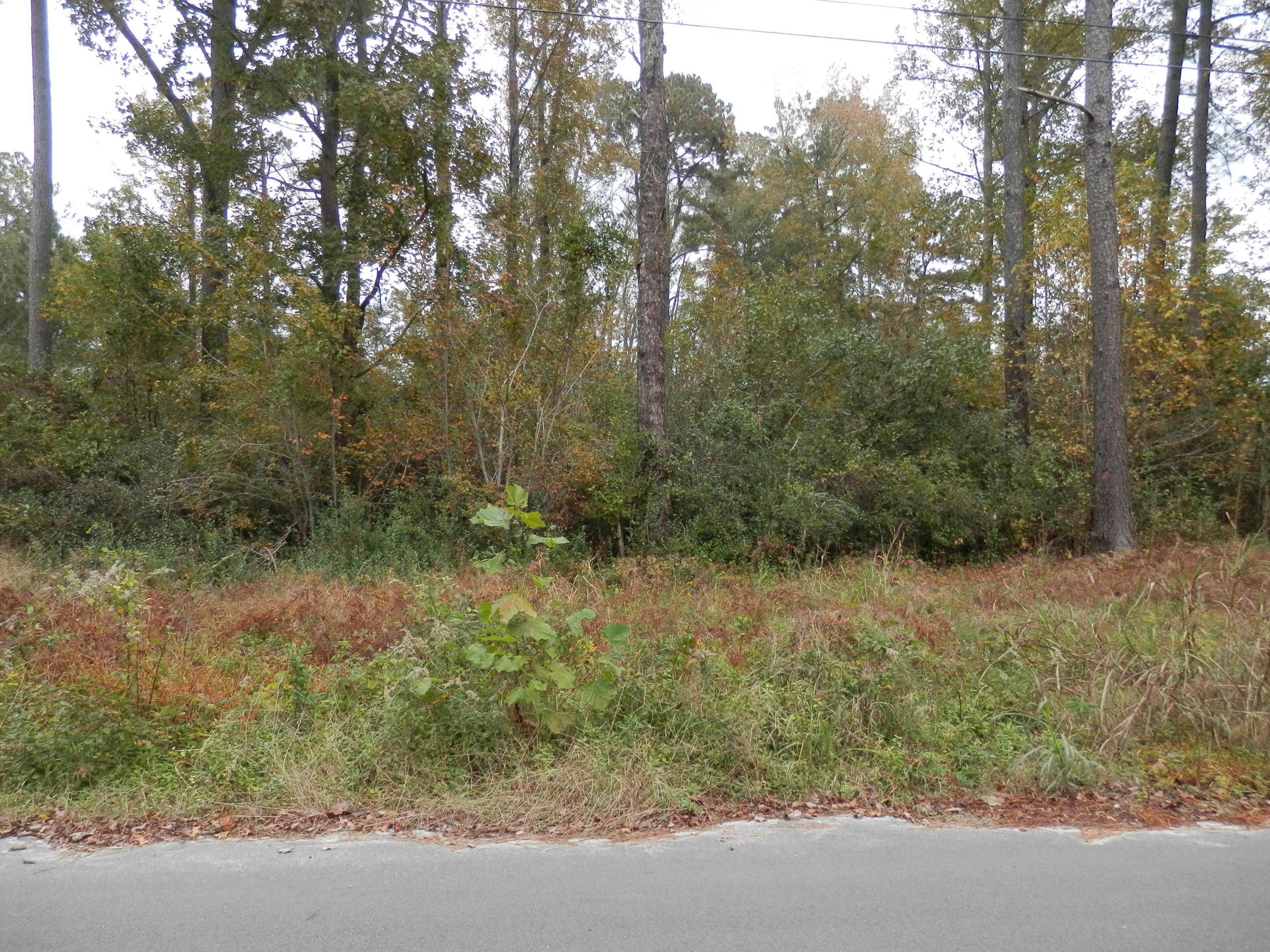 O Sinclair Road Early Branch, SC 29916 - Photo 2 of 2 2018-11-20 22.52.55