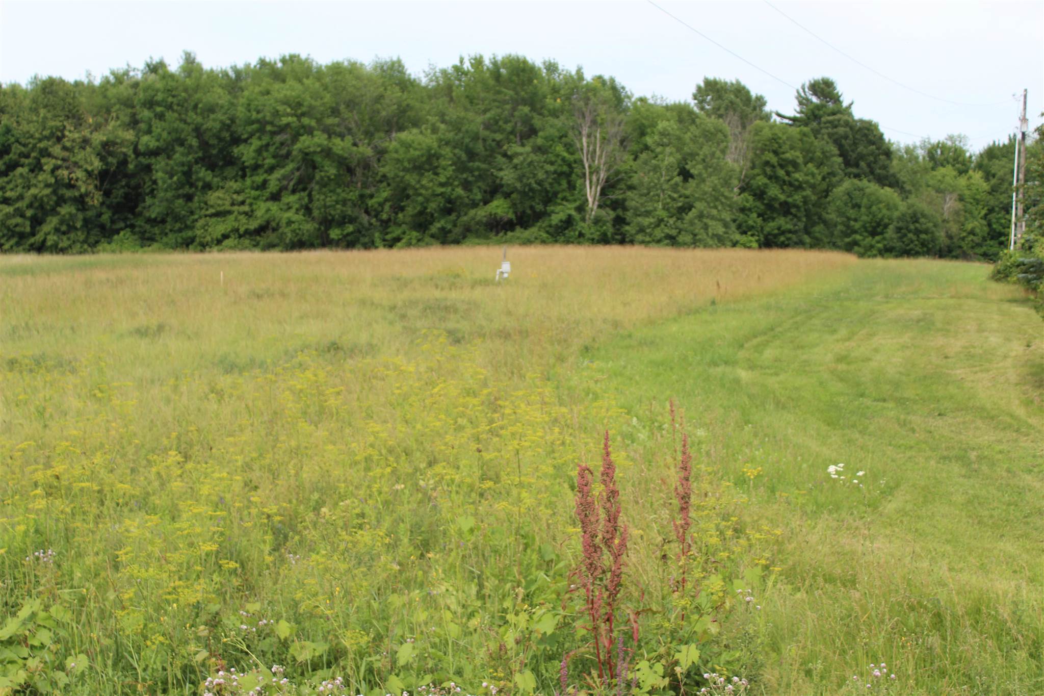 52 Martell Road Alburgh, VT 05440 - Photo 3 of 4 Gallery Image 3