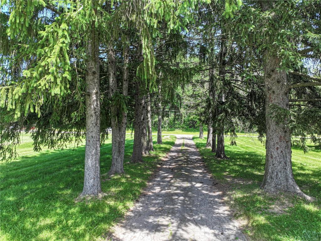 324 Winter Road New Castle, PA 16101 - Photo 26 of 32 Tree Lined Driveway