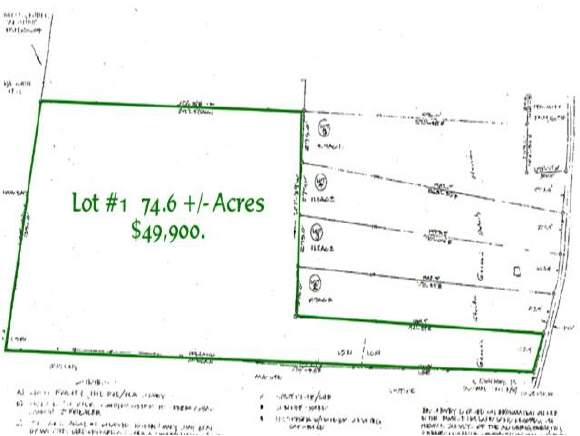 Lot 1 Mead Hill Road Holland, VT 05830 - Photo 1 of 1