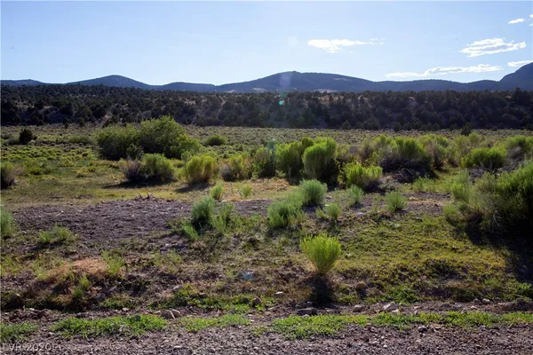 $1,000,000 | Duck Creek, Ely, NV 89301