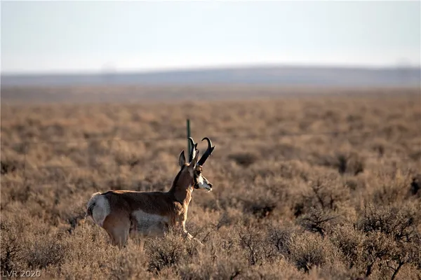 $1,000,000 | Duck Creek, Ely, NV 89301