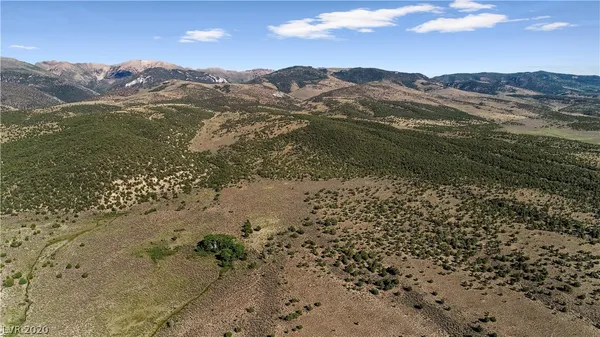 $1,000,000 | Duck Creek, Ely, NV 89301