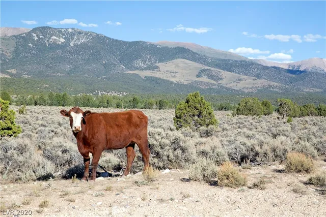 $1,000,000 | Duck Creek, Ely, NV 89301