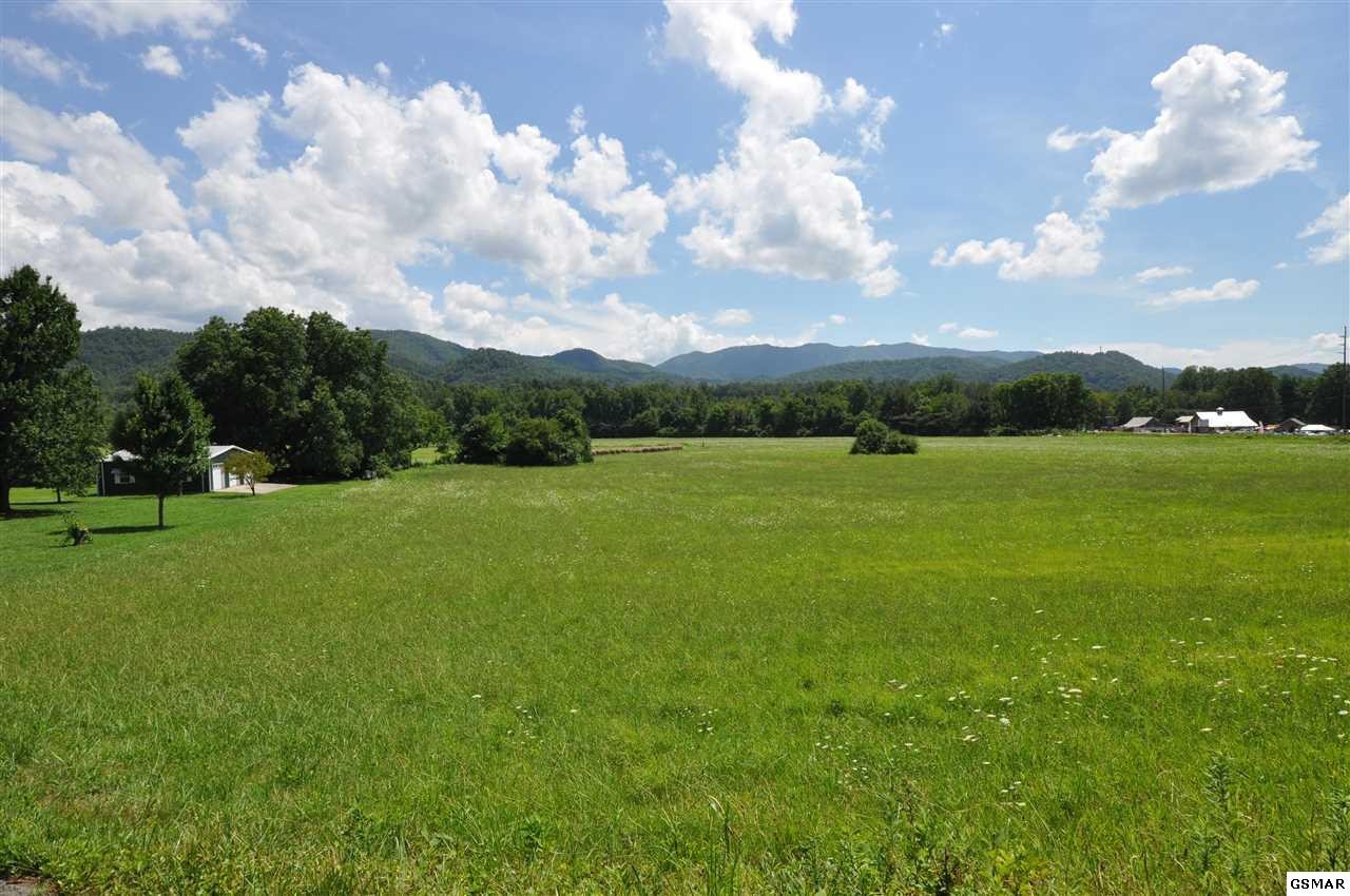 318 Wears Valley Road Townsend, TN 37882 - Photo 10 of 33 Gallery Image 10