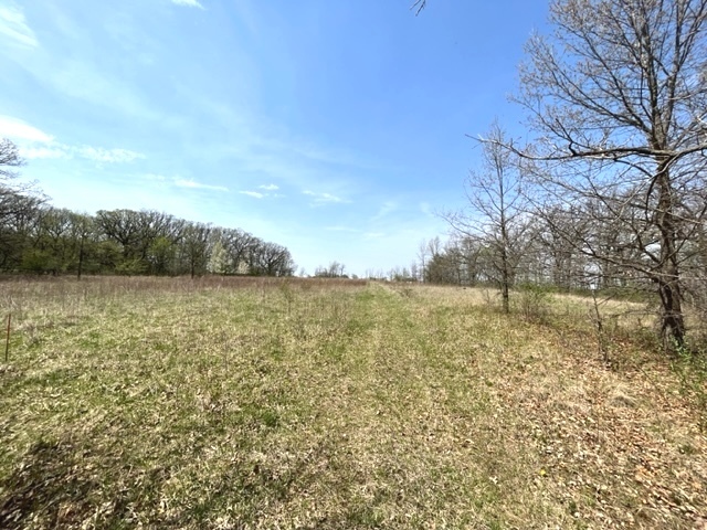 5640 West Bluff Road Morris, IL 60450 - Photo 38 of 41 Gallery Image 38