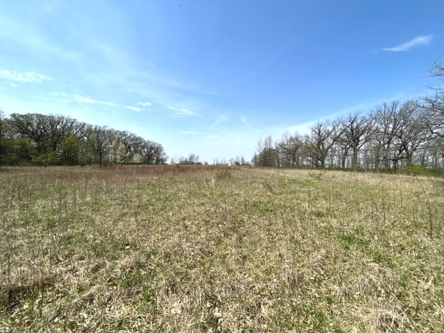 5640 West Bluff Road Morris, IL 60450 - Photo 39 of 41 Gallery Image 39