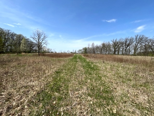 5640 West Bluff Road Morris, IL 60450 - Photo 40 of 41 Gallery Image 40