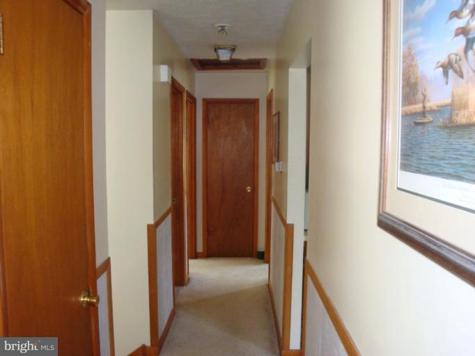 1917 Colora Road Colora, MD 21917 - Photo 11 of 15 Interior (General)