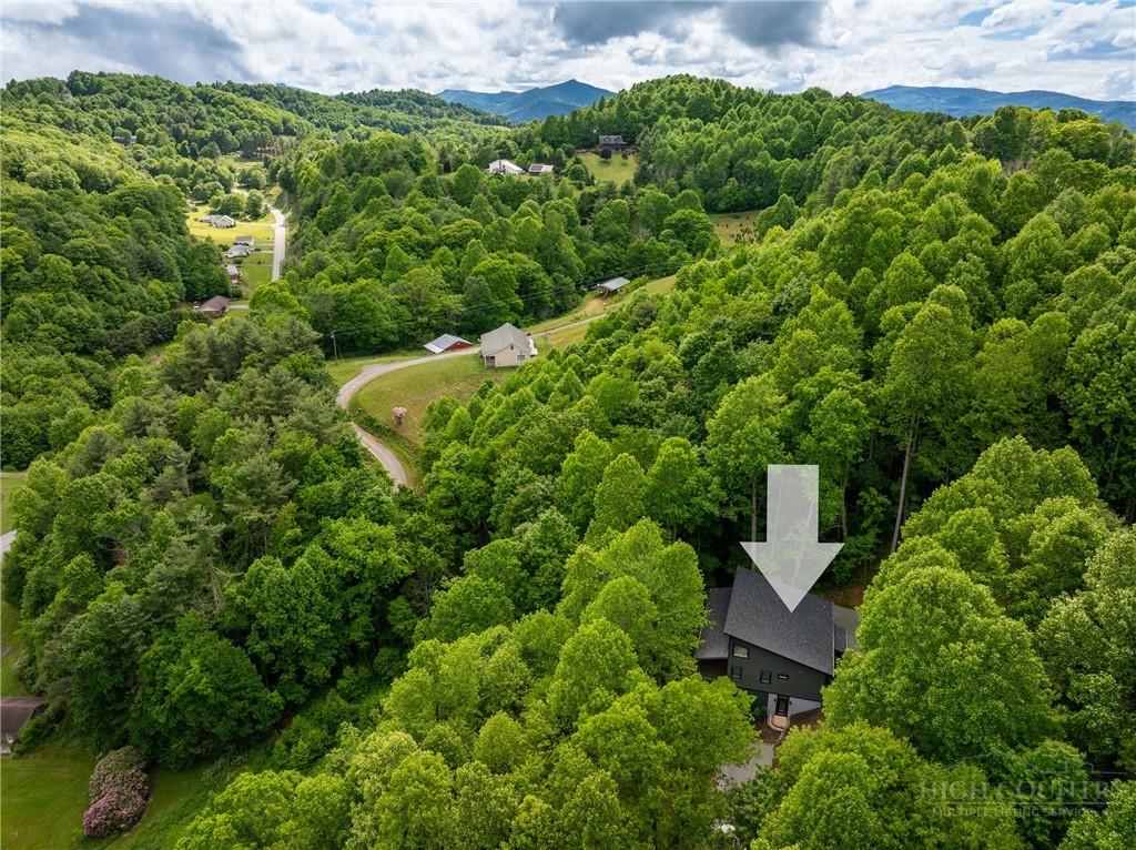 207 Laurel Canopy Lane Boone, NC 28607 - Photo 49 of 49